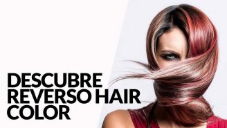 Reverso Hair Color -  -,   
