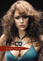 Brelil Hi-Co Plus - Высококонцентрированный краситель прямого действия Brelil Hi-Co Plus - Высококонцентрированный краситель прямого действия