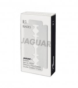 Jaguar -   R1 43  (10 )