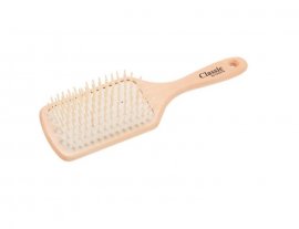 Harizma - ����� ��������� �� ������������ ������ �������