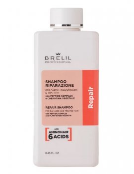 Brelil Amino Traitement Repair Shampoo -      (250 )