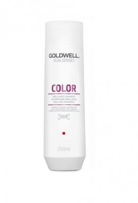 Goldwell Dual Color Brilliance Shampoo - ������� ��� ������ ���������� ����� (250 ��)