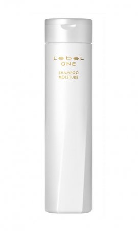 Lebel One Shampoo Moisture - ����������� ������� ��� ����� � ������� ����� (240 ��)