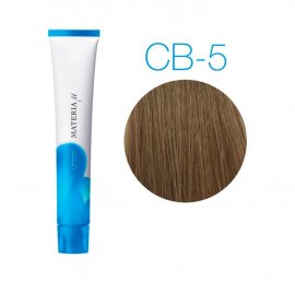 Lebel Materia  Layfer -  -   CB5 (  ) 80 