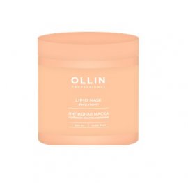 Ollin L&P SYSTEM -     (500 )