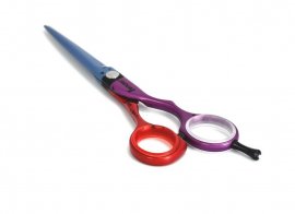 Jaguar -  FOCUS ON 5.5"