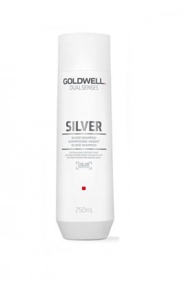 Goldwell Dual Silver Shampoo - �������������� ������� ��� ����� � ������� ����� (250 ��)