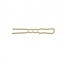 Dewal -   , 60  (60 /)